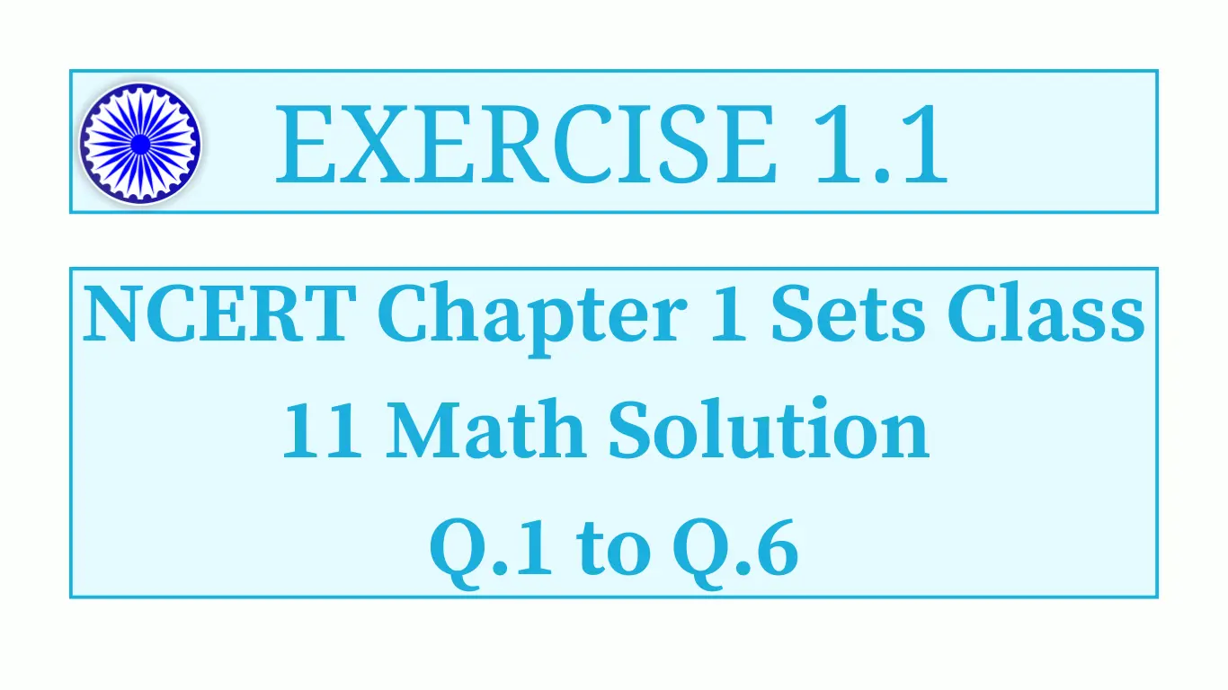 Exercise 1.1 NCERT Class 11 Chapter 1